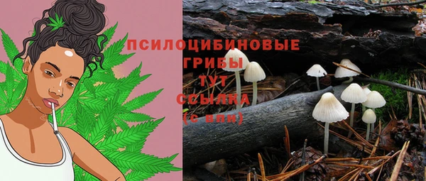 экстази Нея